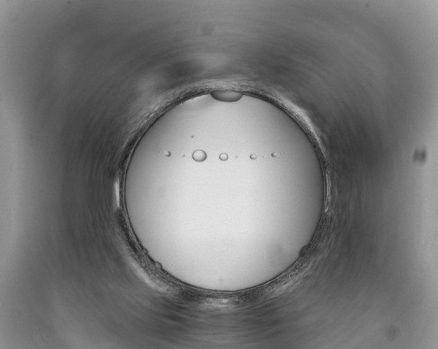 X0000090780061200707201143