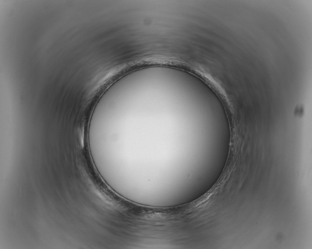 X0000090780062200707201143