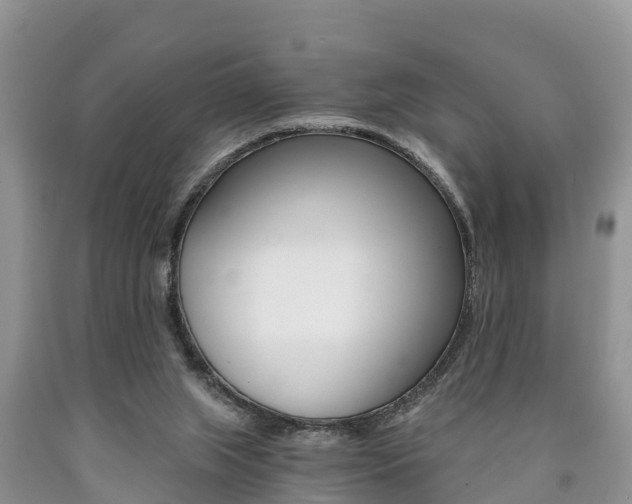 X0000090780063200707201143