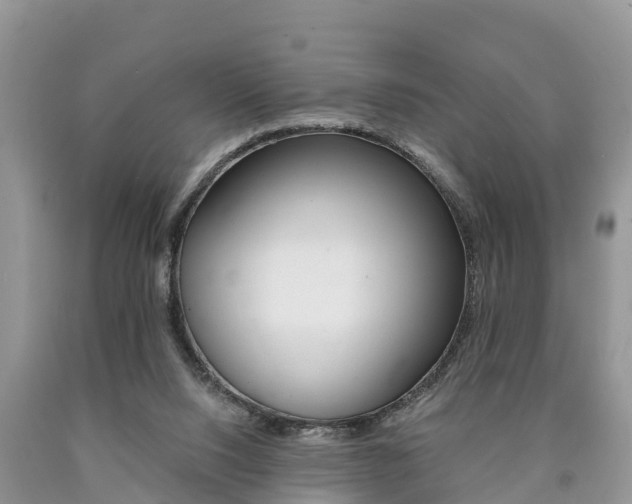 X0000090780064200707201143