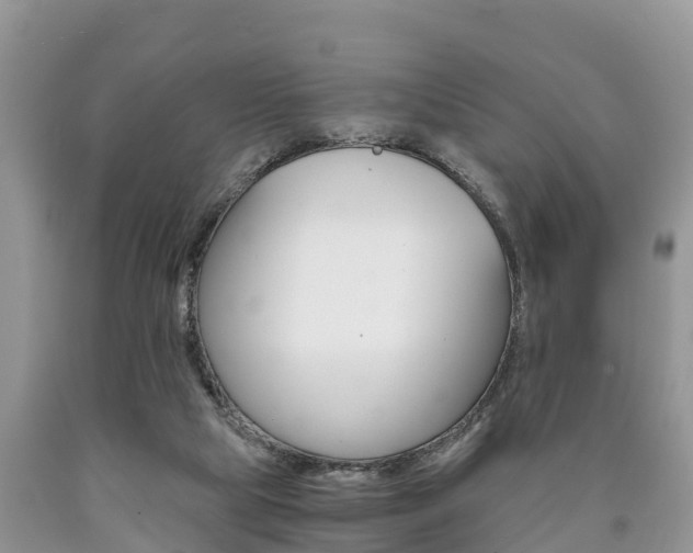 X0000090780065200707201143