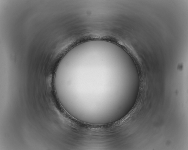 X0000090780066200707201143