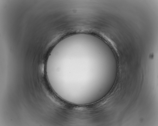 X0000090780067200707201143