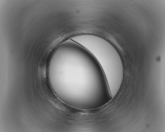 X0000090780068200707201143