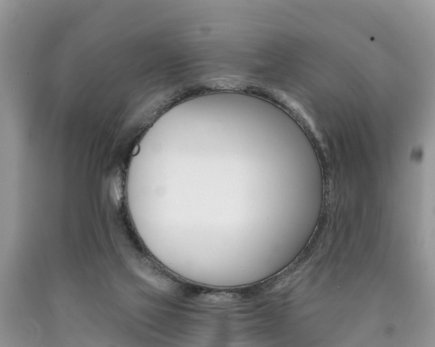 X0000090780069200707201143