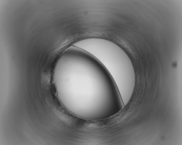 X0000090780072200707201143