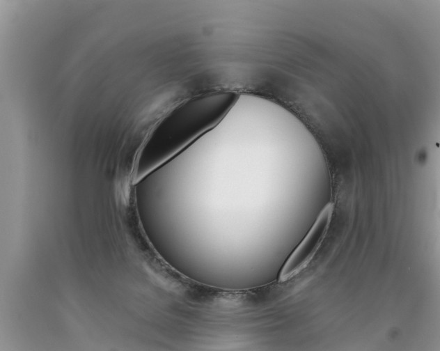 X0000090780076200707201143