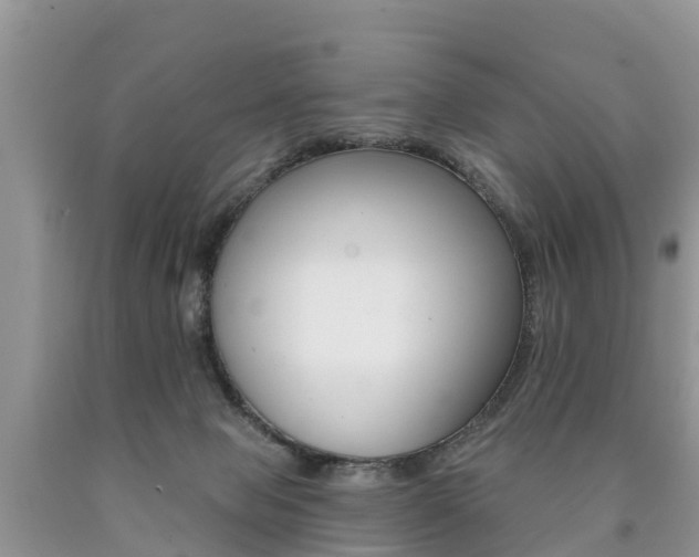 X0000090780077200707201143