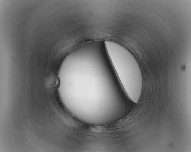 X0000090780079200707201143