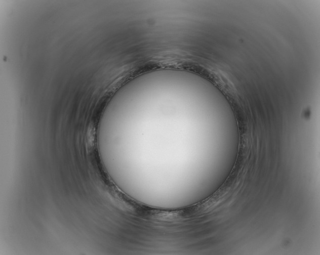 X0000090780081200707201143