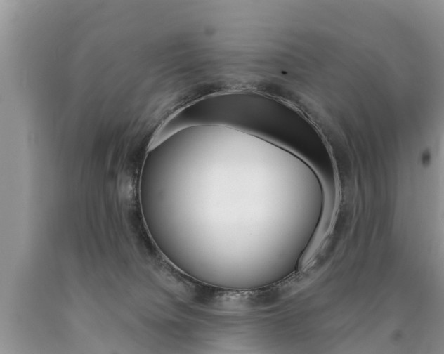X0000090780084200707201143