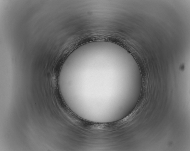 X0000090780086200707201143