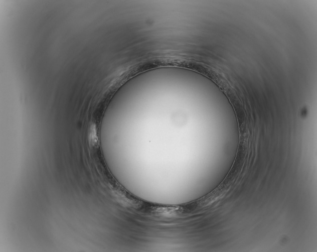 X0000090780089200707201143