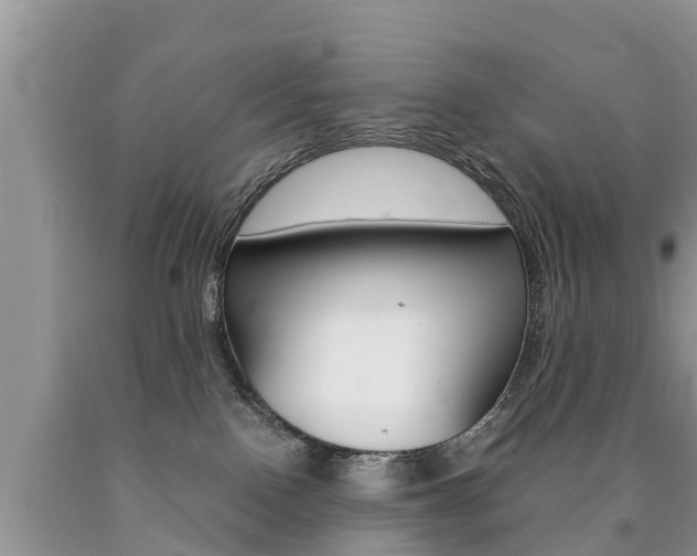 X0000090780090200707201143