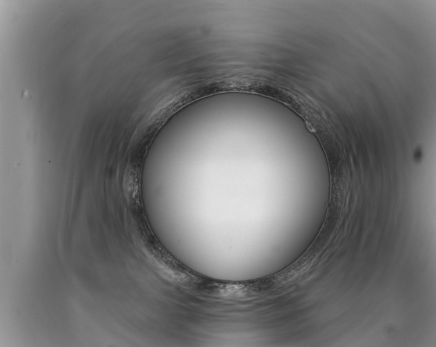 X0000090780091200707201143