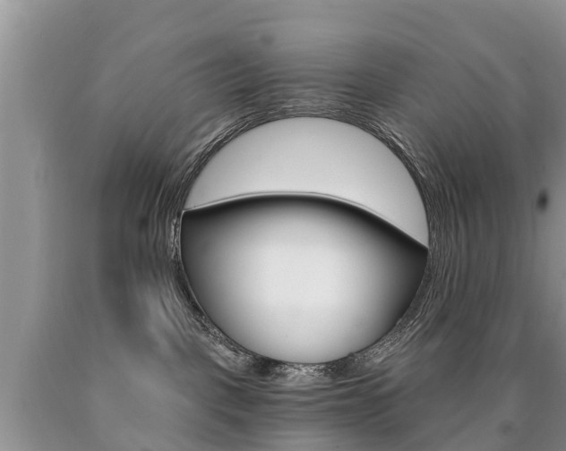 X0000090780093200707201143