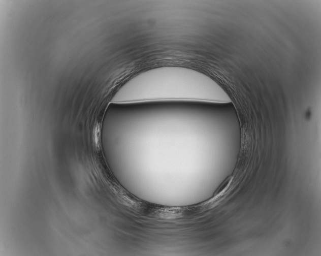 X0000090780094200707201143