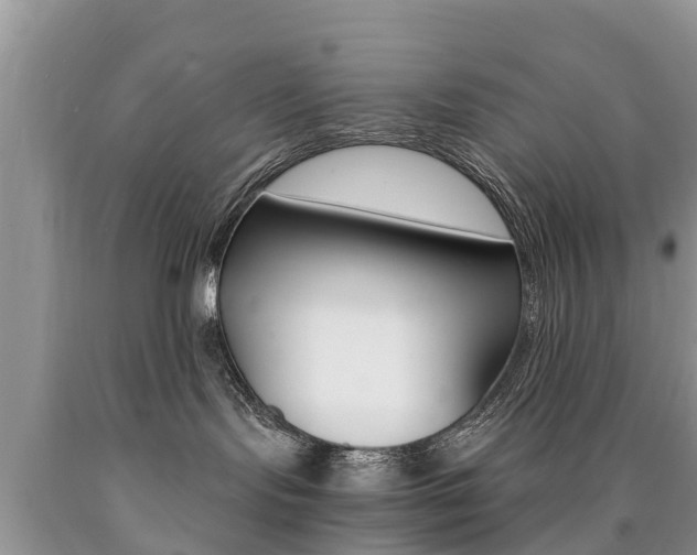 X0000090780095200707201143