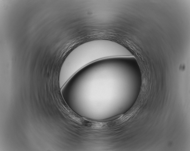 X0000090780096200707201143