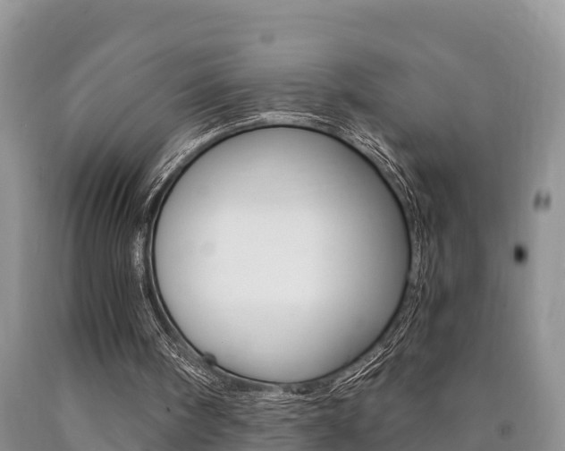 X0000090780098200707201143
