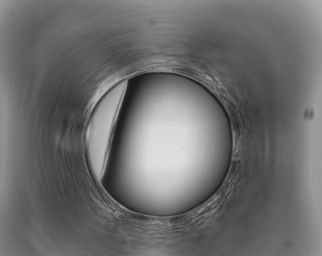 X0000090780099200707201143