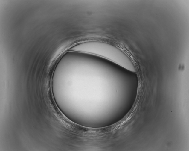 X0000090780101200707201143
