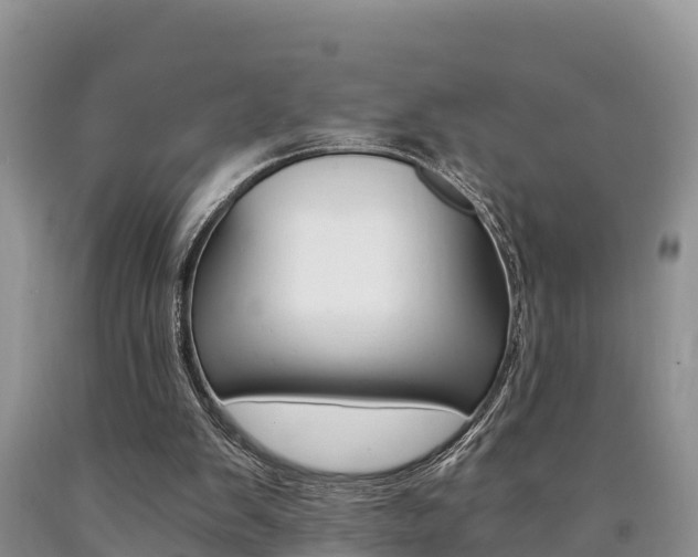 X0000090780103200707201143