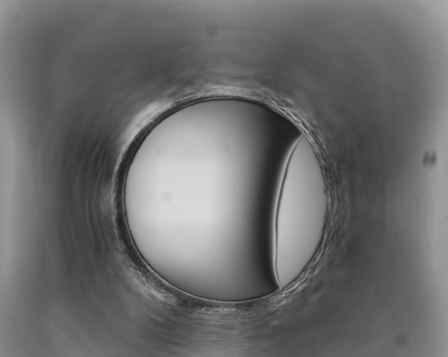 X0000090780104200707201143