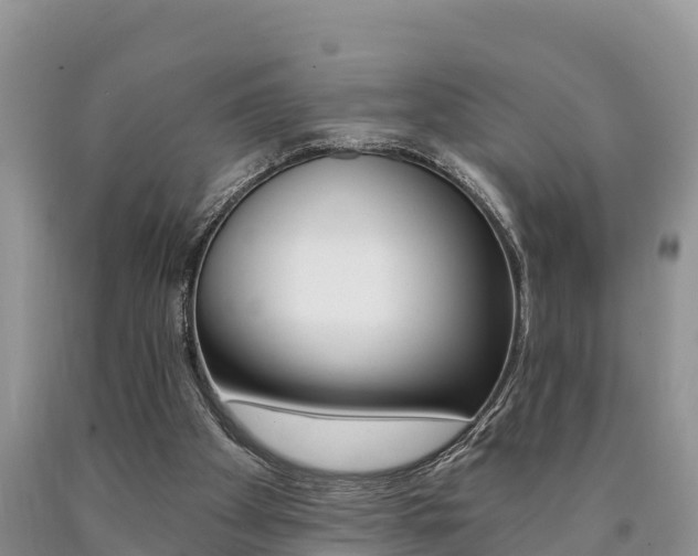 X0000090780105200707201143