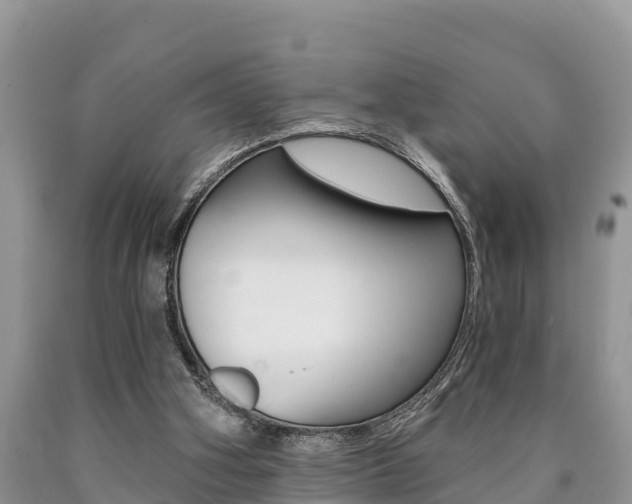 X0000090780106200707201143