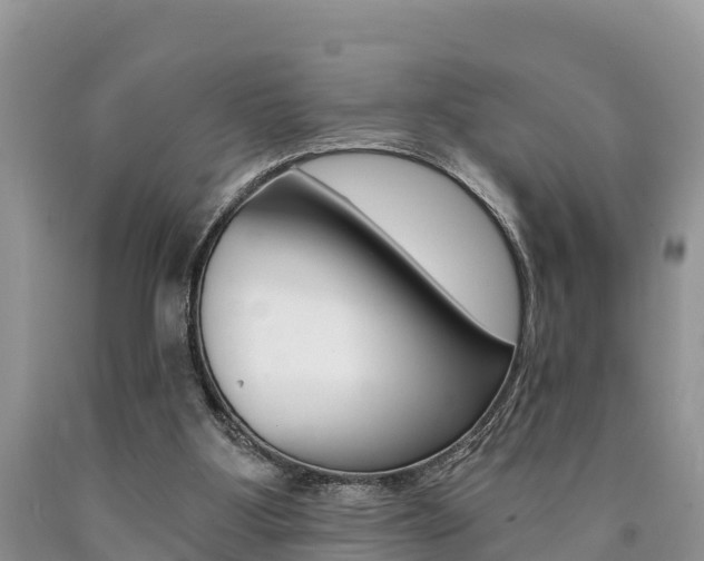 X0000090780107200707201143