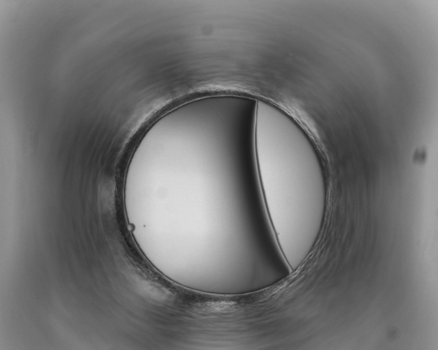 X0000090780108200707201142