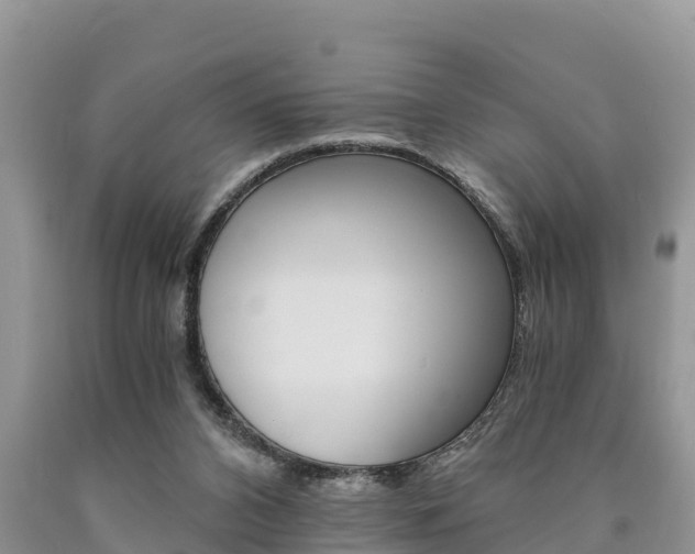 X0000090780112200707201142