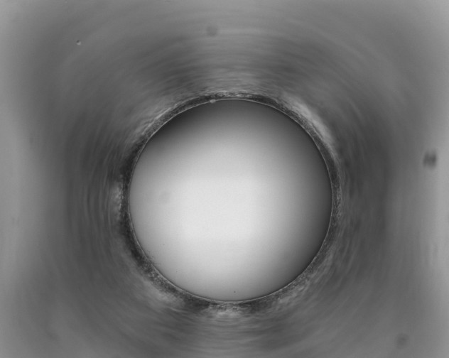 X0000090780113200707201142