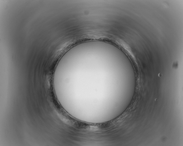 X0000090780114200707201142