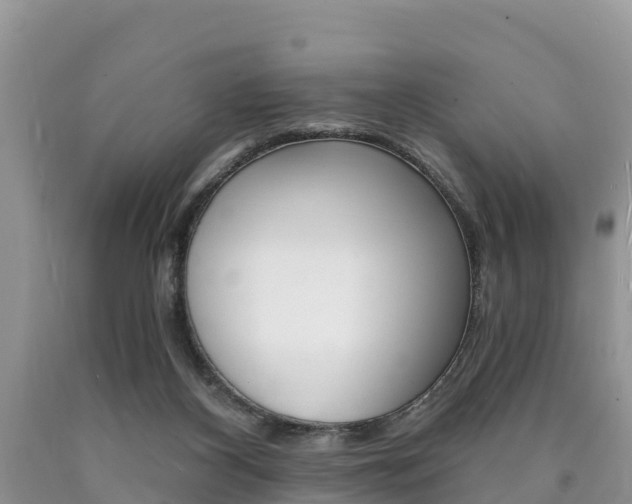 X0000090780116200707201142
