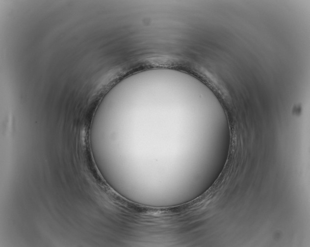X0000090780117200707201142