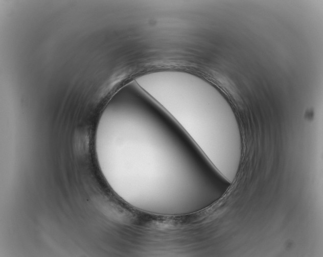 X0000090780120200707201142