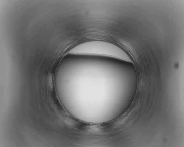X0000090780121200707201142