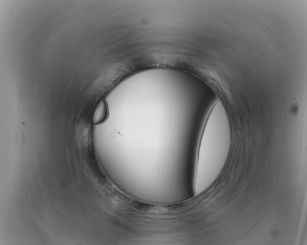 X0000090780123200707201142