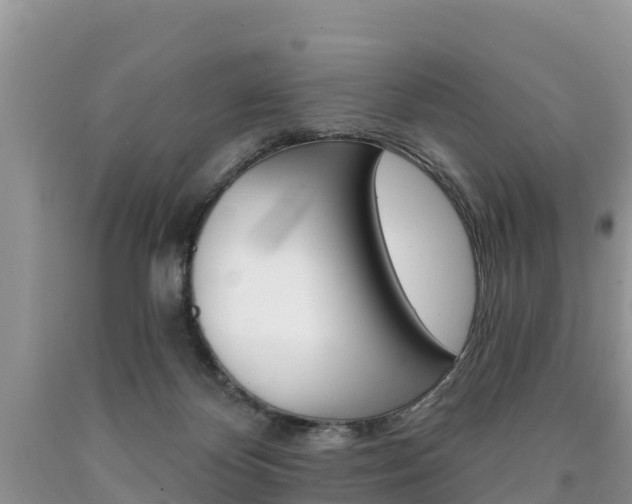X0000090780124200707201142