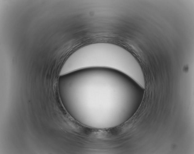 X0000090780125200707201142