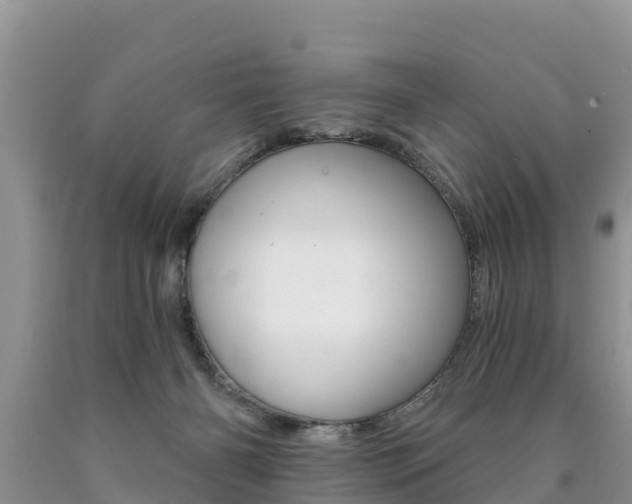 X0000090780126200707201142