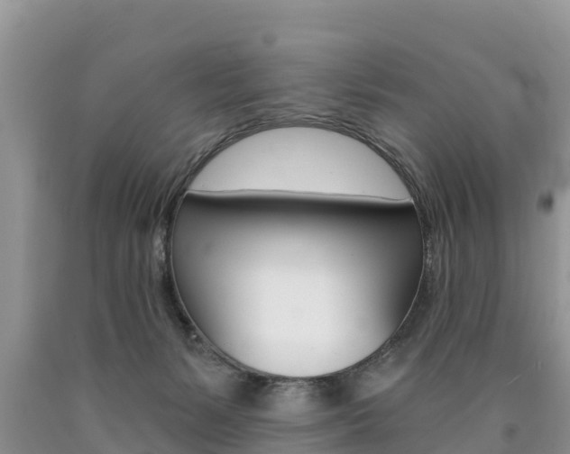 X0000090780127200707201142