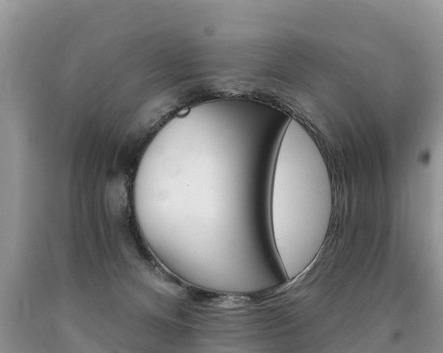 X0000090780128200707201142