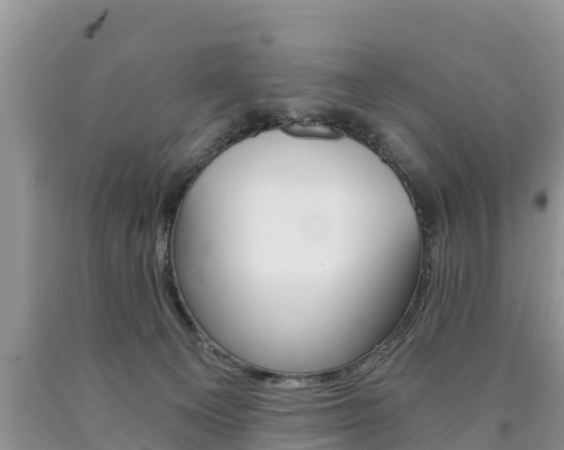 X0000090780129200707201142