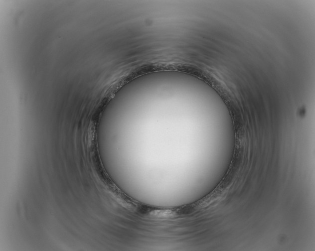X0000090780133200707201142