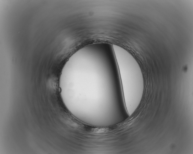 X0000090780135200707201142