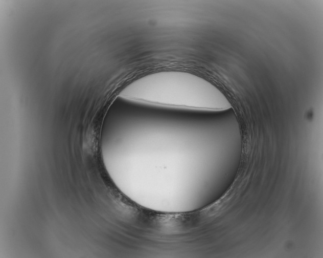 X0000090780136200707201142
