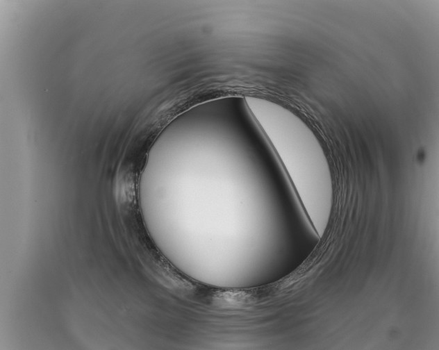 X0000090780137200707201142